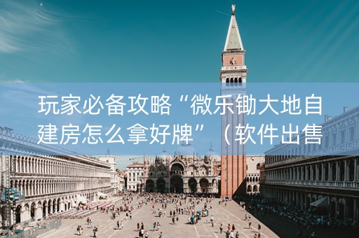 玩家必备攻略“微乐锄大地自建房怎么拿好牌”（软件出售)