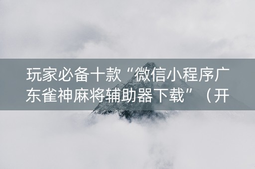 玩家必备十款“微信小程序广东雀神麻将辅助器下载”（开挂辅助插件)