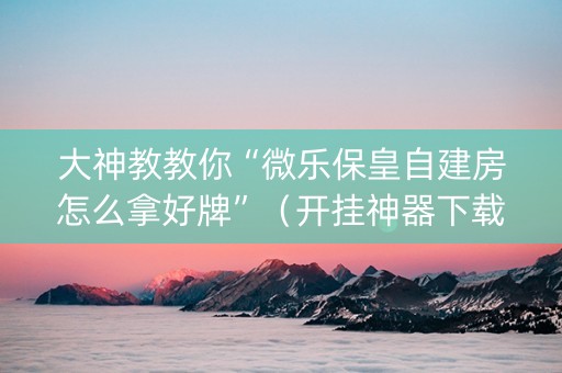 大神教教你“微乐保皇自建房怎么拿好牌”（开挂神器下载)