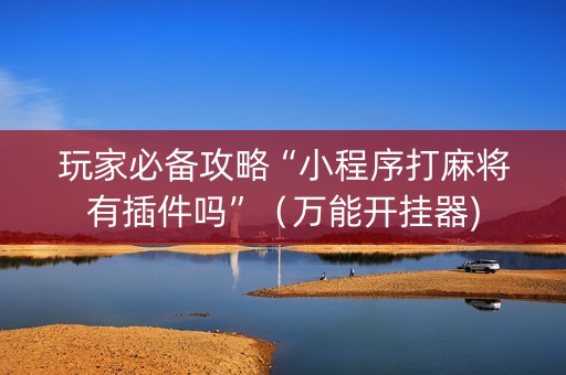 玩家必备攻略“小程序打麻将有插件吗”（万能开挂器)