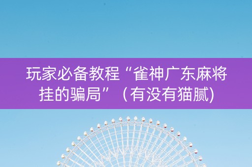 玩家必备教程“雀神广东麻将挂的骗局”（有没有猫腻)