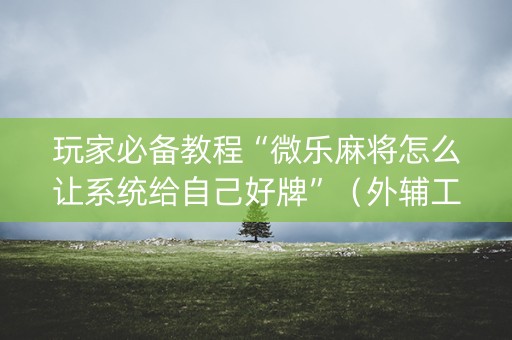 玩家必备教程“微乐麻将怎么让系统给自己好牌”（外辅工具)