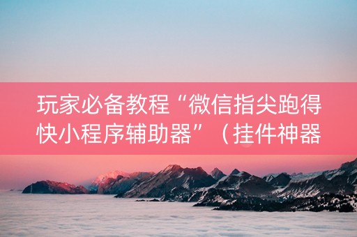 玩家必备教程“微信指尖跑得快小程序辅助器”（挂件神器)