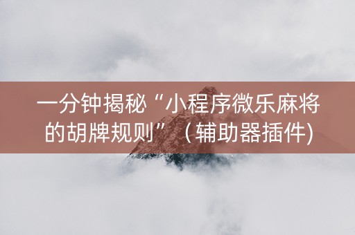 一分钟揭秘“小程序微乐麻将的胡牌规则”（辅助器插件)