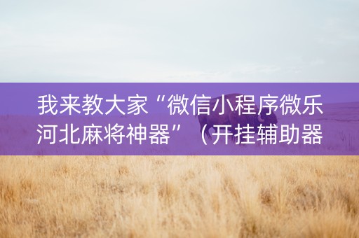 我来教大家“微信小程序微乐河北麻将神器”（开挂辅助器脚本)