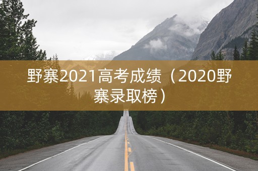 野寨2021高考成绩（2020野寨录取榜）