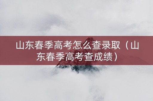 山东春季高考怎么查录取（山东春季高考查成绩）