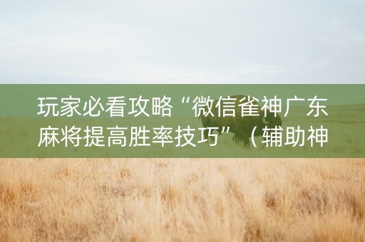玩家必看攻略“微信雀神广东麻将提高胜率技巧”（辅助神器免费)