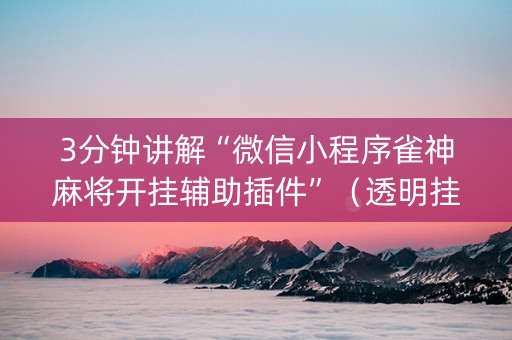 3分钟讲解“微信小程序雀神麻将开挂辅助插件”（透明挂辅助器)