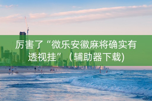 厉害了“微乐安徽麻将确实有透视挂”（辅助器下载)