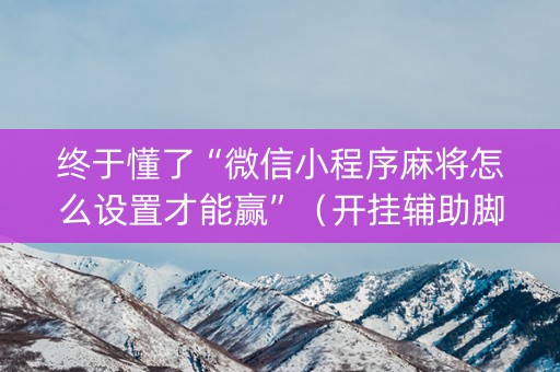终于懂了“微信小程序麻将怎么设置才能赢”（开挂辅助脚本)