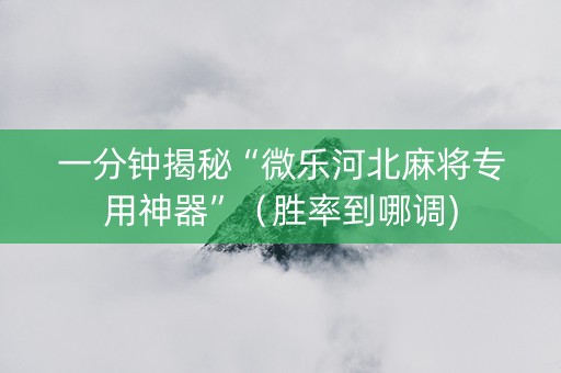 一分钟揭秘“微乐河北麻将专用神器”（胜率到哪调)