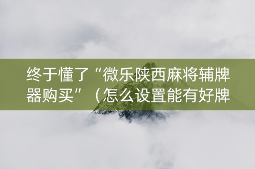 终于懂了“微乐陕西麻将辅牌器购买”（怎么设置能有好牌)