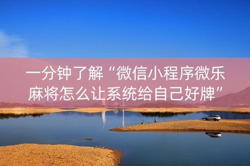 一分钟了解“微信小程序微乐麻将怎么让系统给自己好牌”（小程序控牌器)
