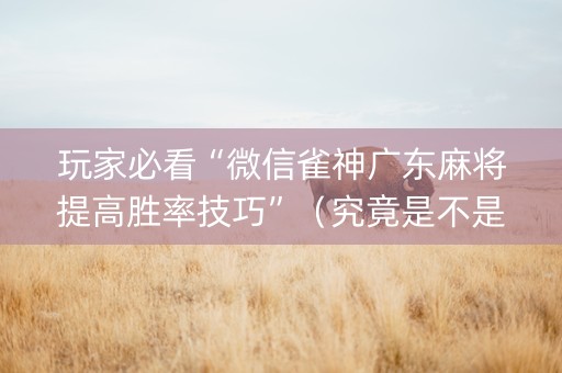 玩家必看“微信雀神广东麻将提高胜率技巧”（究竟是不是有挂)