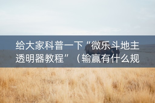 给大家科普一下“微乐斗地主透明器教程”（输赢有什么规律)