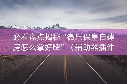 必看盘点揭秘“微乐保皇自建房怎么拿好牌”（辅助器插件)