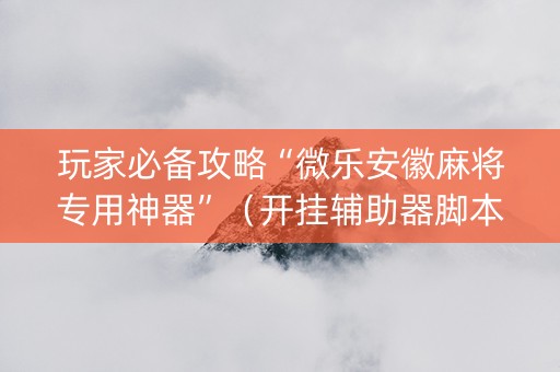 玩家必备攻略“微乐安徽麻将专用神器”（开挂辅助器脚本)