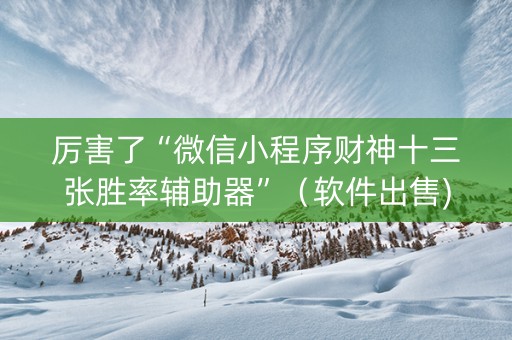 厉害了“微信小程序财神十三张胜率辅助器”（软件出售)