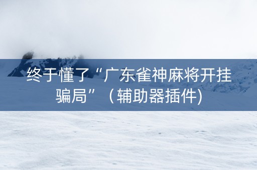终于懂了“广东雀神麻将开挂骗局”（辅助器插件)