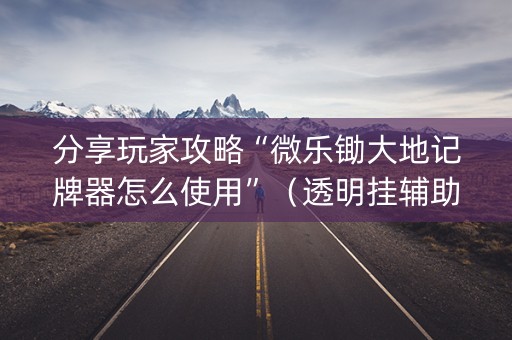 分享玩家攻略“微乐锄大地记牌器怎么使用”（透明挂辅助器)