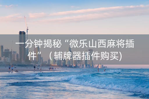 一分钟揭秘“微乐山西麻将插件”（辅牌器插件购买)