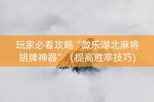 玩家必看攻略“微乐湖北麻将胡牌神器”（提高胜率技巧)
