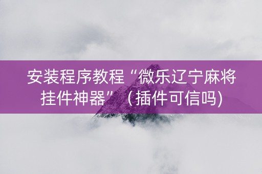 安装程序教程“微乐辽宁麻将挂件神器”（插件可信吗)