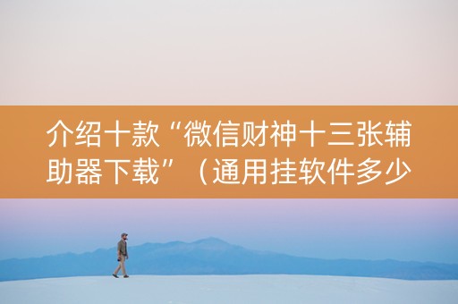 介绍十款“微信财神十三张辅助器下载”（通用挂软件多少钱)