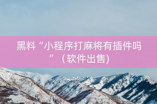 黑料“小程序打麻将有插件吗”（软件出售)