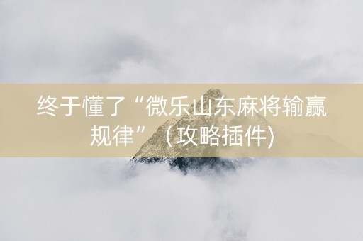 终于懂了“微乐山东麻将输赢规律”（攻略插件)