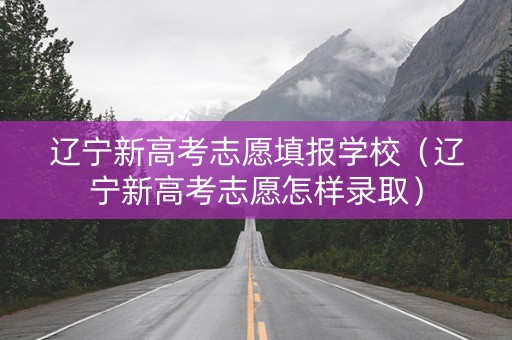 辽宁新高考志愿填报学校（辽宁新高考志愿怎样录取）