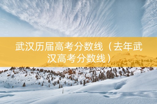 武汉历届高考分数线（去年武汉高考分数线）