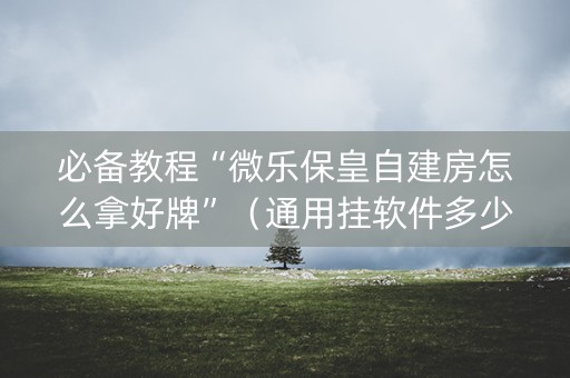 必备教程“微乐保皇自建房怎么拿好牌”（通用挂软件多少钱)