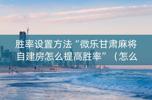 胜率设置方法“微乐甘肃麻将自建房怎么提高胜率”（怎么让系统给你发好牌)