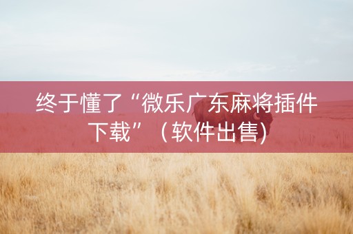 终于懂了“微乐广东麻将插件下载”（软件出售)
