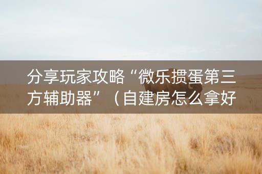 分享玩家攻略“微乐掼蛋第三方辅助器”（自建房怎么拿好牌)