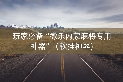 玩家必备“微乐内蒙麻将专用神器”（软挂神器)
