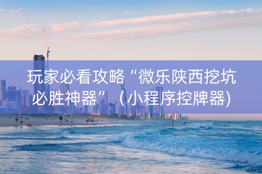 玩家必看攻略“微乐陕西挖坑必胜神器”（小程序控牌器)