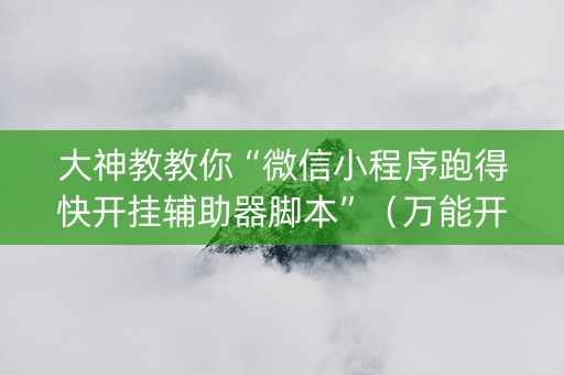 大神教教你“微信小程序跑得快开挂辅助器脚本”（万能开挂神器)