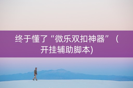 终于懂了“微乐双扣神器”（开挂辅助脚本)
