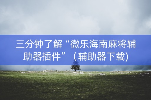 三分钟了解“微乐海南麻将辅助器插件”（辅助器下载)