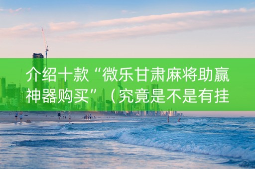 介绍十款“微乐甘肃麻将助赢神器购买”（究竟是不是有挂)