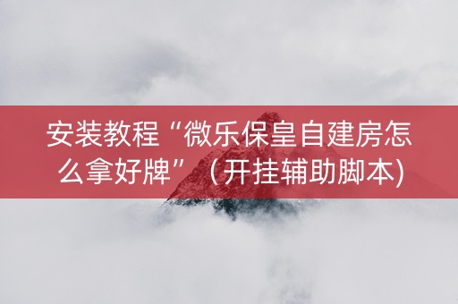安装教程“微乐保皇自建房怎么拿好牌”（开挂辅助脚本)
