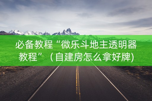 必备教程“微乐斗地主透明器教程”（自建房怎么拿好牌)