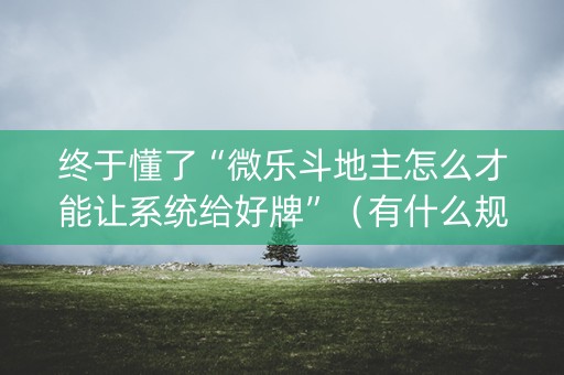 终于懂了“微乐斗地主怎么才能让系统给好牌”（有什么规律)
