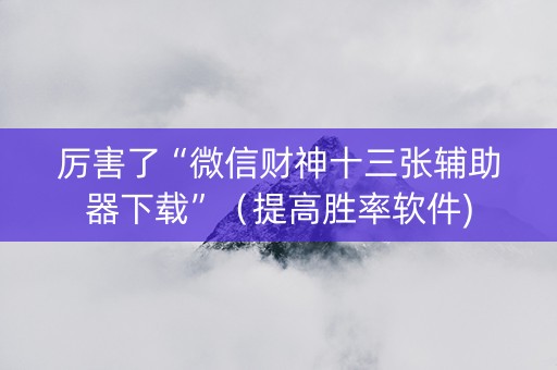 厉害了“微信财神十三张辅助器下载”（提高胜率软件)