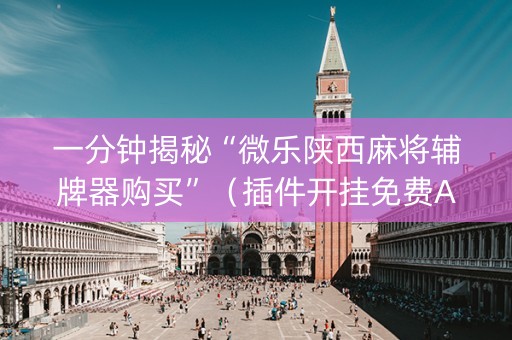 一分钟揭秘“微乐陕西麻将辅牌器购买”（插件开挂免费AI)