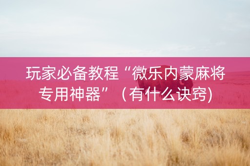 玩家必备教程“微乐内蒙麻将专用神器”（有什么诀窍)