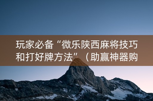 玩家必备“微乐陕西麻将技巧和打好牌方法”（助赢神器购买)